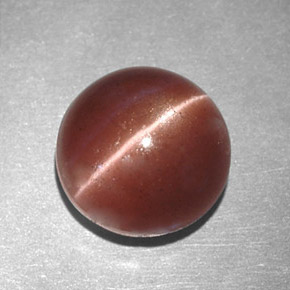 2,78 ctw natürlicher brauner Cat's Eye Scapolite, Rundschliff, Lichtundurchlässig