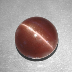 2,78 ctw natürlicher brauner Cat's Eye Scapolite, Rundschliff, Lichtundurchlässig