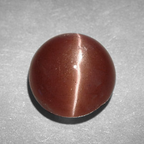 2,78 ctw natürlicher brauner Cat's Eye Scapolite, Rundschliff, Lichtundurchlässig