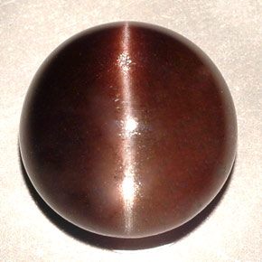 11,06 ctw natürlicher brauner Cat's Eye Scapolite, Rundschliff, Lichtdurchlässig