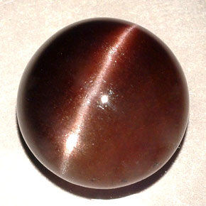 11,06 ctw natürlicher brauner Cat's Eye Scapolite, Rundschliff, Lichtdurchlässig