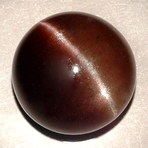11,06 ctw natürlicher brauner Cat's Eye Scapolite, Rundschliff, Lichtdurchlässig