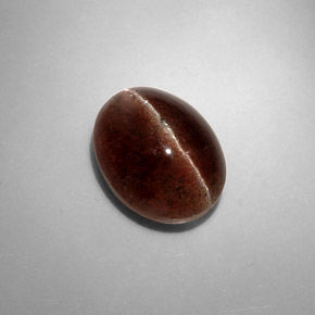 8,31 ctw natürlicher brauner Cat's Eye Scapolite, Oval Schliff, Lichtdurchlässig