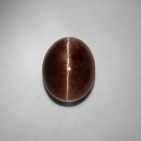 8,31 ctw natürlicher brauner Cat's Eye Scapolite, Oval Schliff, Lichtdurchlässig