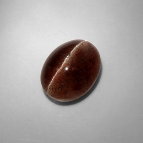 8,31 ctw natürlicher brauner Cat's Eye Scapolite, Oval Schliff, Lichtdurchlässig