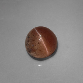 2,31 ctw natürlicher brauner Cat's Eye Scapolite, Transparent, Transparent / Lichtdurchlässig