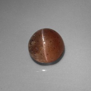 2,31 ctw natürlicher brauner Cat's Eye Scapolite, Transparent, Transparent / Lichtdurchlässig