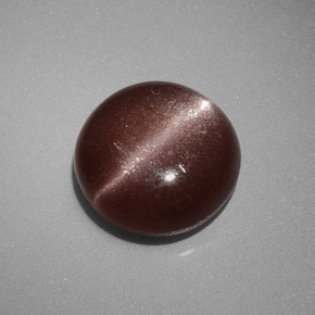 2,40 ctw natürlicher brauner Cat's Eye Scapolite, Rundschliff, Lichtundurchlässig