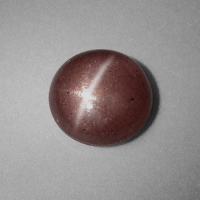 1,54 ctw natürlicher brauner Cat's Eye Scapolite, Rundschliff, Lichtundurchlässig
