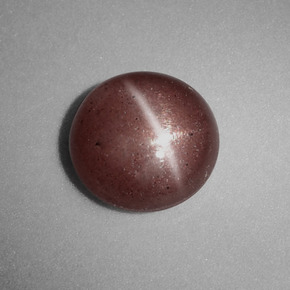 1,54 ctw natürlicher brauner Cat's Eye Scapolite, Rundschliff, Lichtundurchlässig