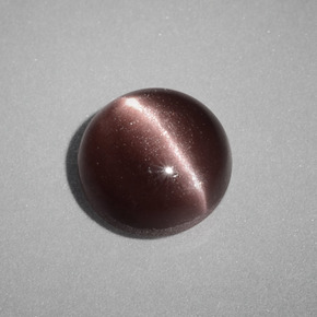 1,58 ctw natürlicher brauner Cat's Eye Scapolite, Rundschliff, Lichtundurchlässig