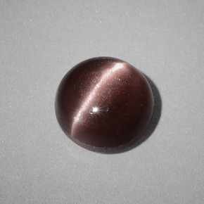 1,58 ctw natürlicher brauner Cat's Eye Scapolite, Rundschliff, Lichtundurchlässig