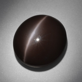 24,01 ctw natürlicher brauner Cat's Eye Scapolite, Oval Schliff, Lichtundurchlässig