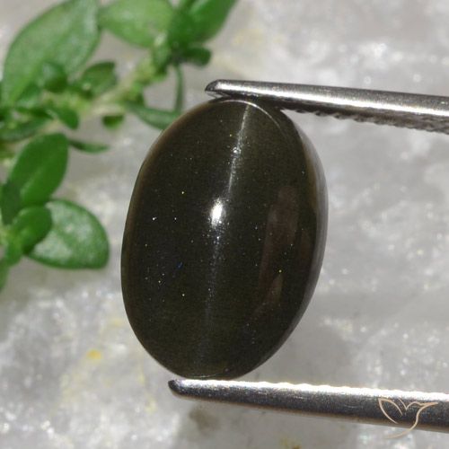 9,17 ctw natürlicher Schwarzbraun Skapolith Katzenauge, Oval Schliff, Lichtdurchlässig