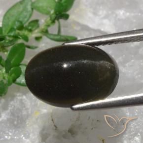 9,17 ctw natürlicher Schwarzbraun Skapolith Katzenauge, Oval Schliff, Lichtdurchlässig