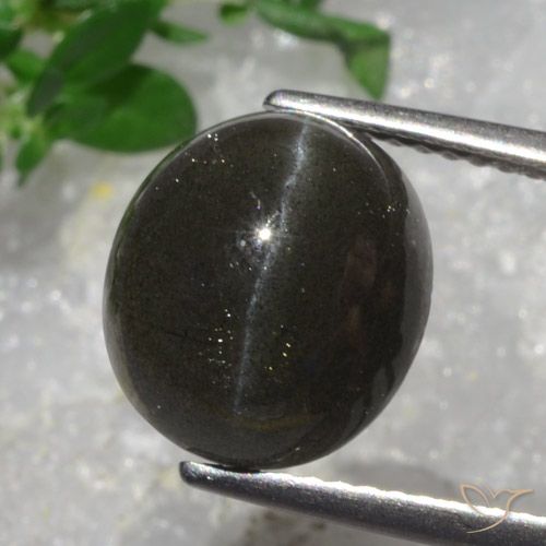 5.43ct Natürlicher Dunkles Schokoladenbraun Skapolith Katzenauge, Oval, Lichtdurchlässig