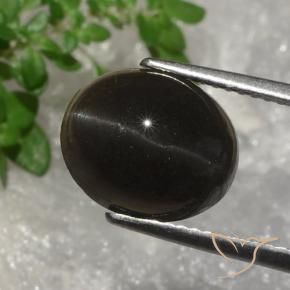 9,17 ctw natürlicher dunkelbraun Skapolith Katzenauge, Oval, Lichtdurchlässig