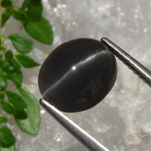 3.20ct Natürlicher Dunkles Schokoladenbraun Skapolith Katzenauge, Oval, Lichtdurchlässig