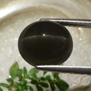9,17 ctw natürlicher Schwarz Skapolith Katzenauge, Oval, Lichtdurchlässig