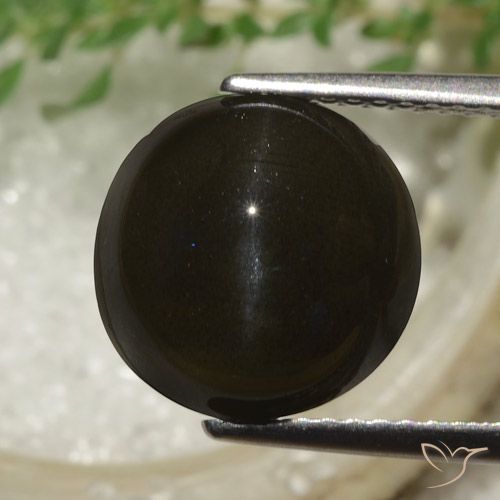 6.53ct Natürlicher dunkelbraun Skapolith Katzenauge, Runden, Lichtdurchlässig