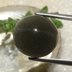 6,50 ctw natürlicher brauner Cat's Eye Scapolite, Rundschliff, Lichtdurchlässig