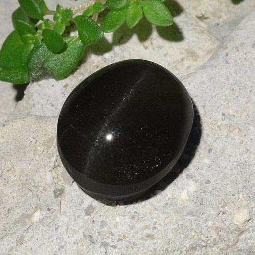 7.45ct Natürlicher Schwarz Skapolith Katzenauge, Oval, Lichtdurchlässig