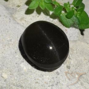 9,17 ctw natürlicher Schwarz Skapolith Katzenauge, Oval, Lichtdurchlässig