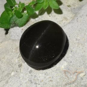 9,17 ctw natürlicher Schwarz Skapolith Katzenauge, Oval, Lichtdurchlässig
