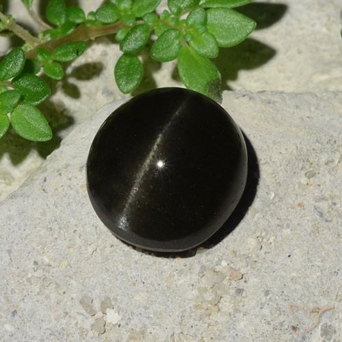 5.12ct Natürlicher Schwarz Skapolith Katzenauge, Oval, Lichtdurchlässig