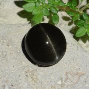 9,17 ctw natürlicher Schwarz Skapolith Katzenauge, Oval, Lichtdurchlässig