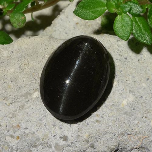 5.12ct Natürlicher Schwarz Skapolith Katzenauge, Oval, Lichtdurchlässig