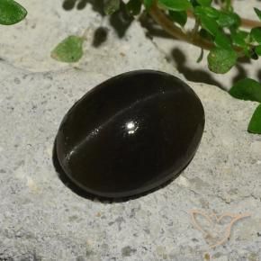 5,10 ctw natürlicher schwarzer Cat's Eye Scapolite, Oval Schliff, Lichtdurchlässig