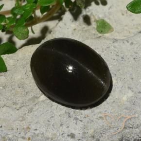 5,10 ctw natürlicher schwarzer Cat's Eye Scapolite, Oval Schliff, Lichtdurchlässig