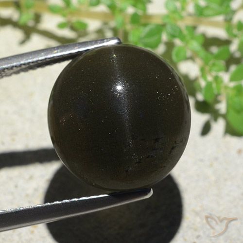 14.13ct Natürlicher Schwarz Skapolith Katzenauge, Oval, Lichtundurchlässig