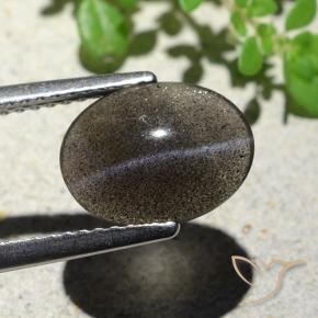 9,17 ctw natürlicher Schwarz Skapolith Katzenauge, Oval, Lichtdurchlässig