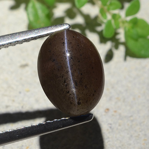 9,17 ctw natürlicher Warmes Schwarz Skapolith Katzenauge, Oval Schliff, Lichtdurchlässig