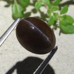 9,17 ctw natürlicher Warmes Schwarz Skapolith Katzenauge, Oval Schliff, Lichtdurchlässig