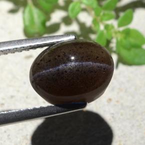 9,17 ctw natürlicher Warmes Schwarz Skapolith Katzenauge, Oval Schliff, Lichtdurchlässig