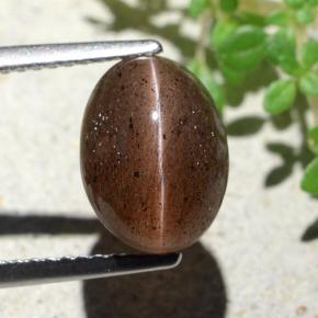 4,55 ctw natürlicher brauner Cat's Eye Scapolite, Oval Schliff, Lichtdurchlässig