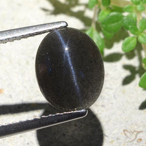 2.85ct Natürlicher Schwarz Skapolith Katzenauge, Oval, Lichtundurchlässig