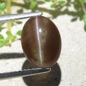3,84 ctw natürlicher brauner Cat's Eye Scapolite, Oval Schliff, Lichtdurchlässig
