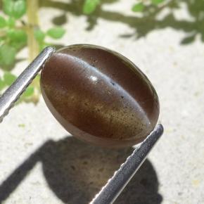 3,84 ctw natürlicher brauner Cat's Eye Scapolite, Oval Schliff, Lichtdurchlässig