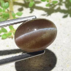 3,84 ctw natürlicher brauner Cat's Eye Scapolite, Oval Schliff, Lichtdurchlässig