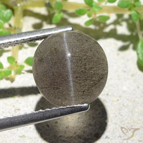 3,94 ctw natürlicher brauner Cat's Eye Scapolite, Oval Schliff, Lichtdurchlässig