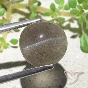 3,94 ctw natürlicher brauner Cat's Eye Scapolite, Oval Schliff, Lichtdurchlässig