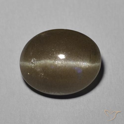 5.81ct Natürlicher Mittel braun Skapolith Katzenauge, Oval, Lichtdurchlässig