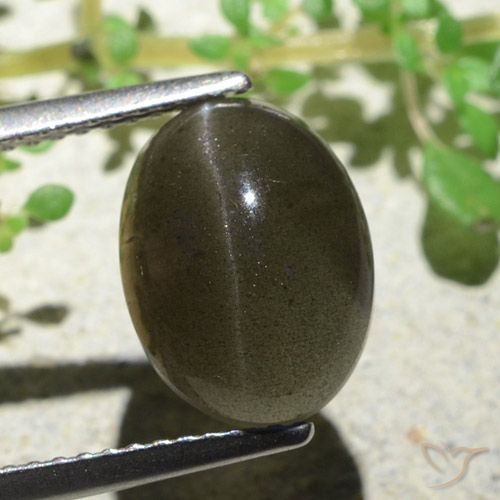 4.70ct Natürlicher Mittel-Hellbraun Skapolith Katzenauge, Oval, Lichtdurchlässig