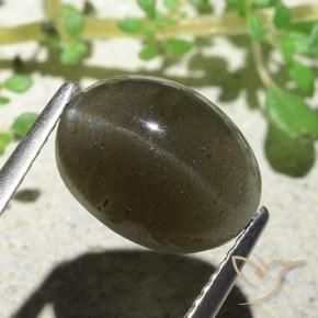 9,17 ctw natürlicher Mittel-Hellbraun Skapolith Katzenauge, Oval, Lichtdurchlässig