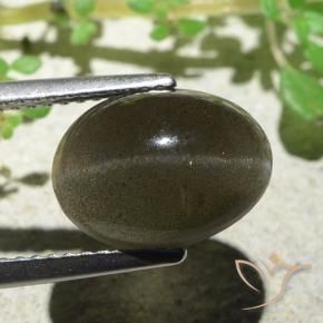 9,17 ctw natürlicher Mittel-Hellbraun Skapolith Katzenauge, Oval, Lichtdurchlässig