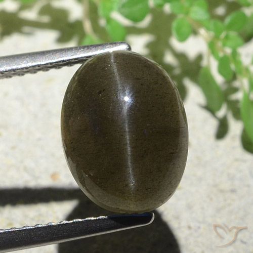 4.97ct Natürlicher Mittel-Hellbraun Skapolith Katzenauge, Oval, Lichtdurchlässig